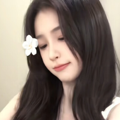 舒心小猪