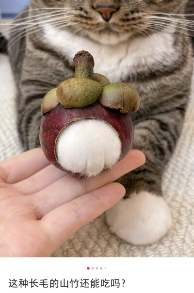 这个长毛的山竹还能吃吗