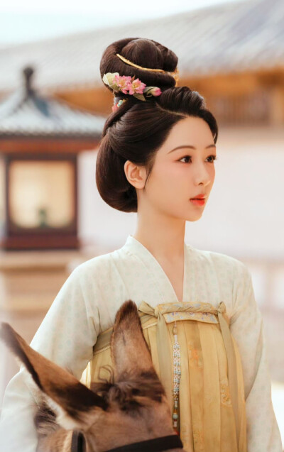 杨紫