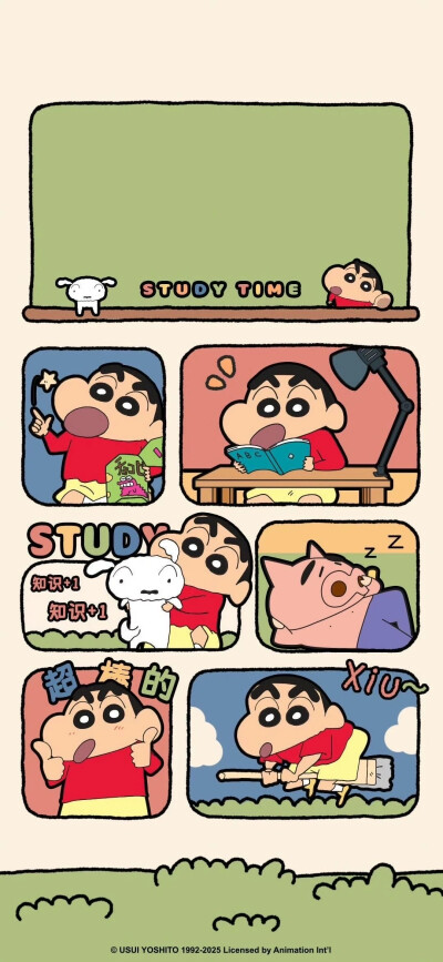 小新
