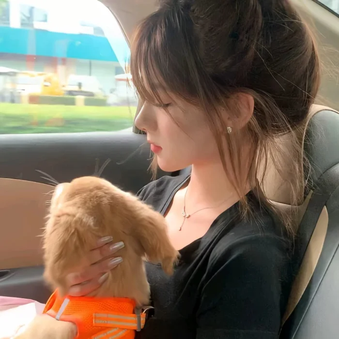 美式复古女头（侵删）