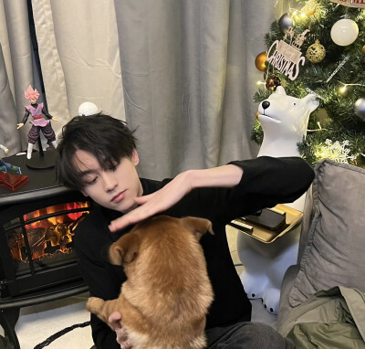 田栩宁