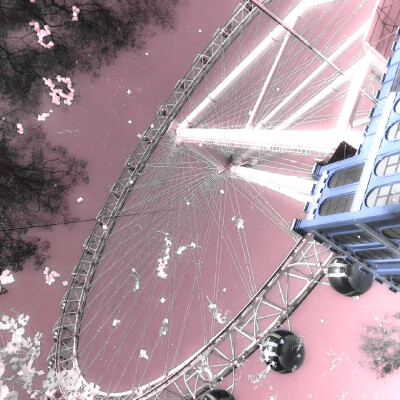 
A sharp knife 、"刺骨寒温"灼烧我的肌肤...