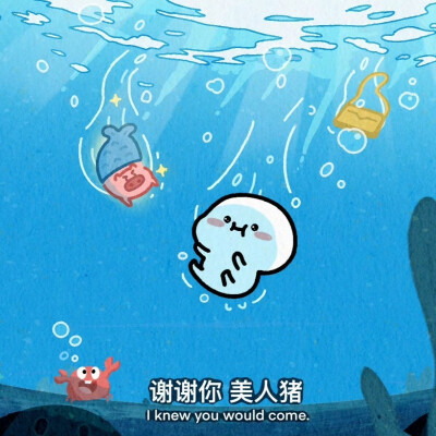 乖巧宝宝