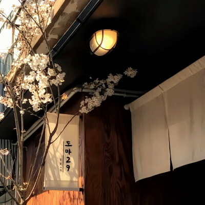 Vintage'加载19s的马耳吉他:beat