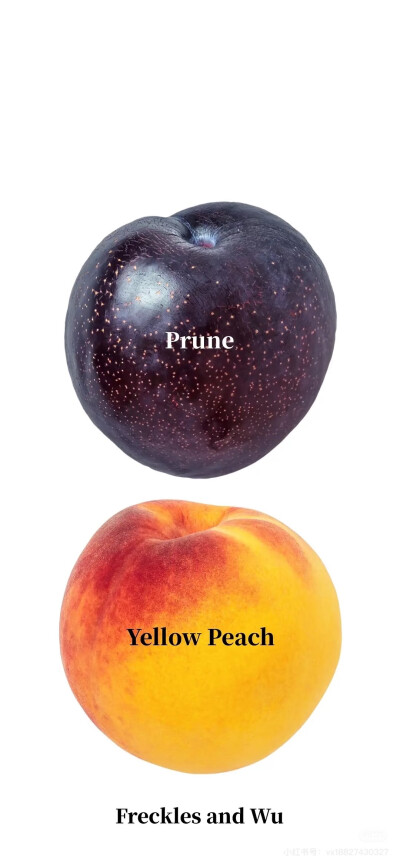 壁纸