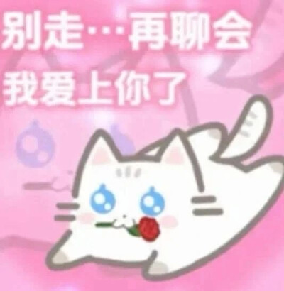 表情包