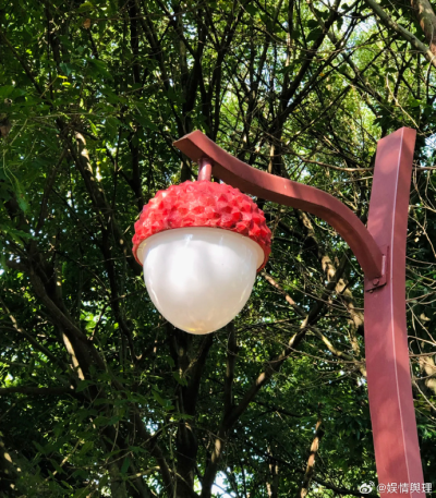 增城不愧是荔枝之乡，连路灯都是荔枝味的！