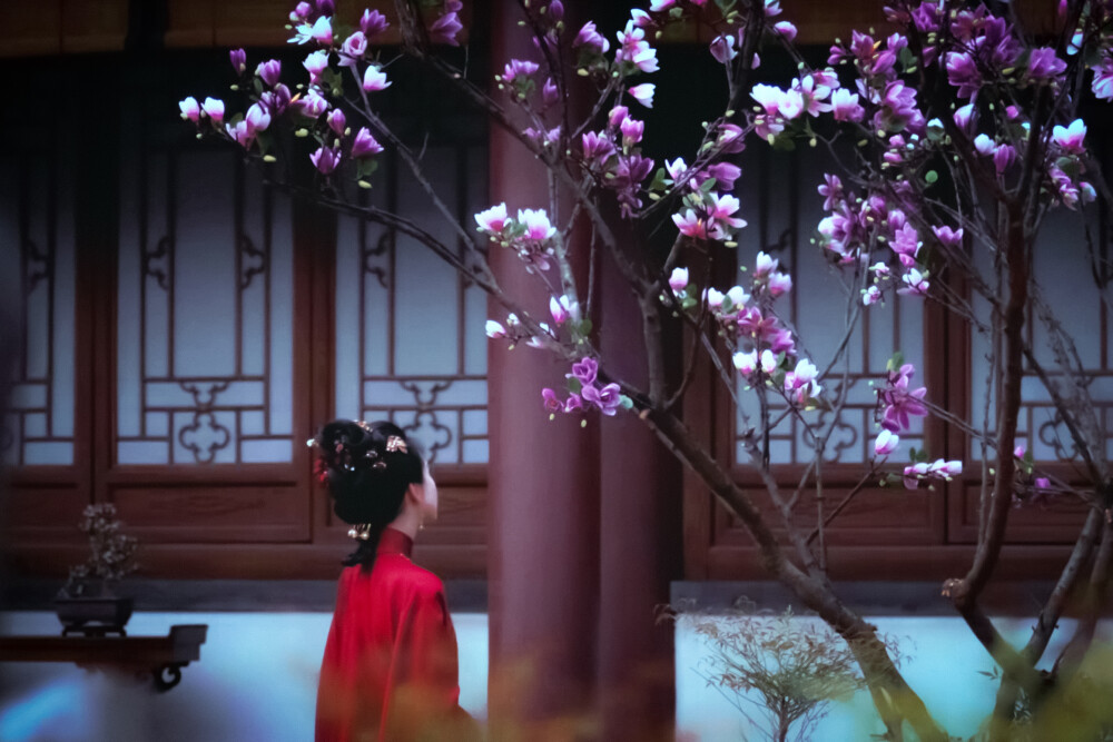 辛夷枝
图：粟奈