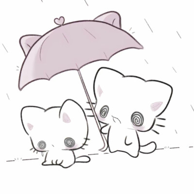 yunyun猫