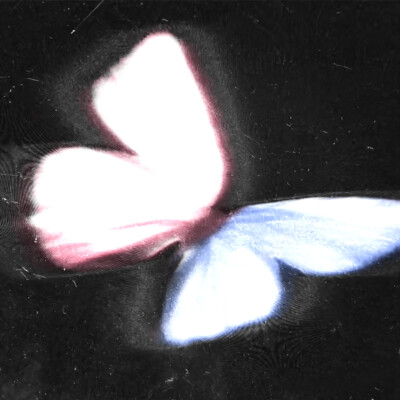 
A sharp knife 、"刺骨寒温"灼烧我的肌肤...