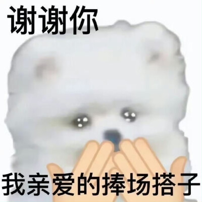 表情包