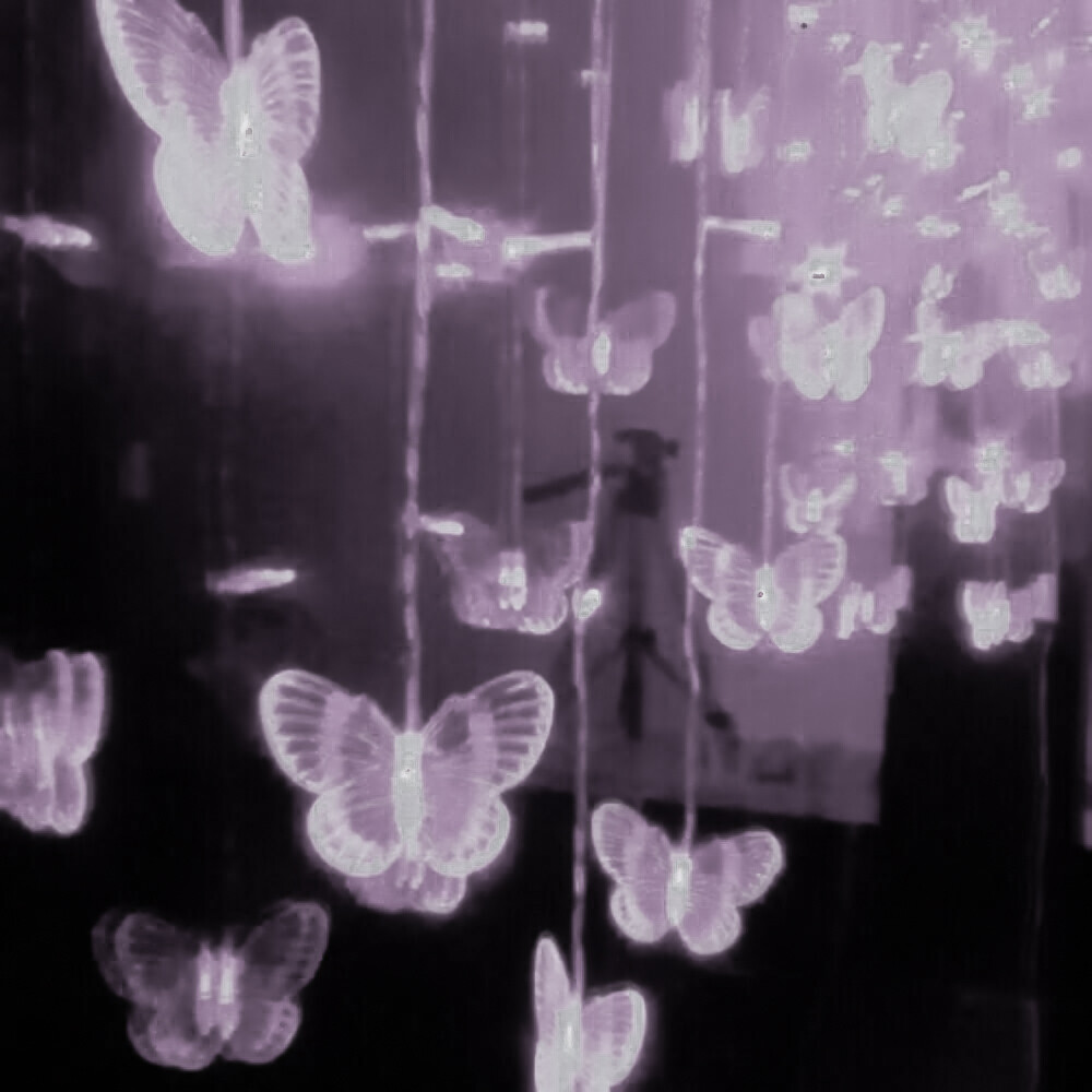 紫色背景图
p1©️颜悸