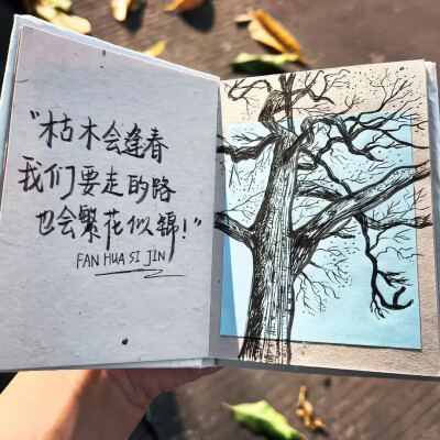 wx背景