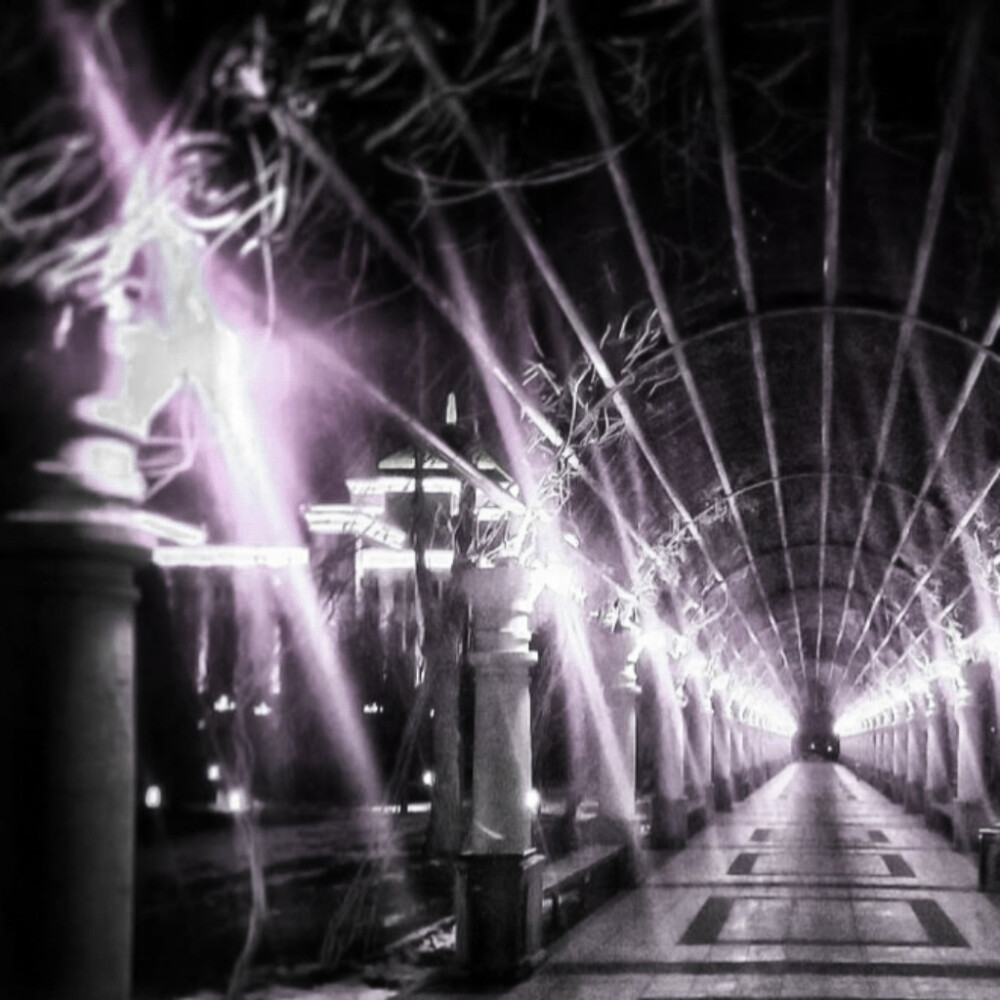 紫色背景图
p1©️颜悸