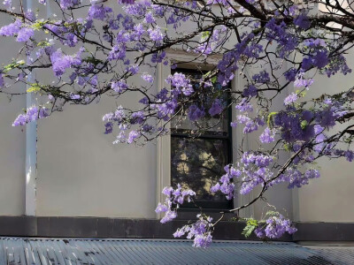 背景图