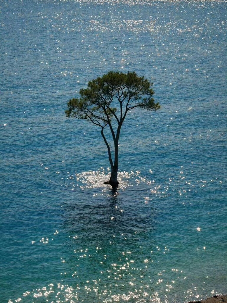 壁纸