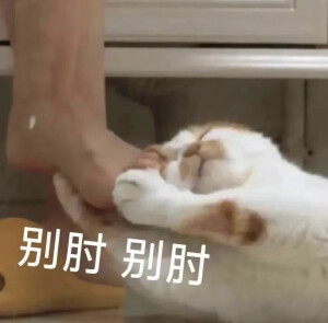 表情包