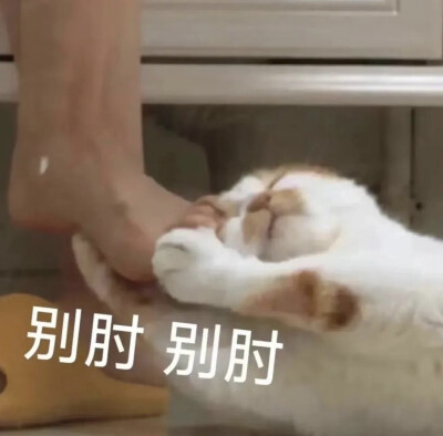 表情包