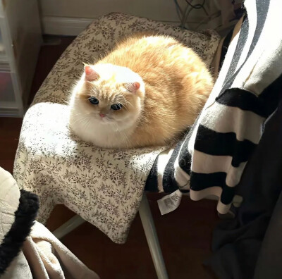 女生头像（侵删）（也可用作朋友圈背景喔）