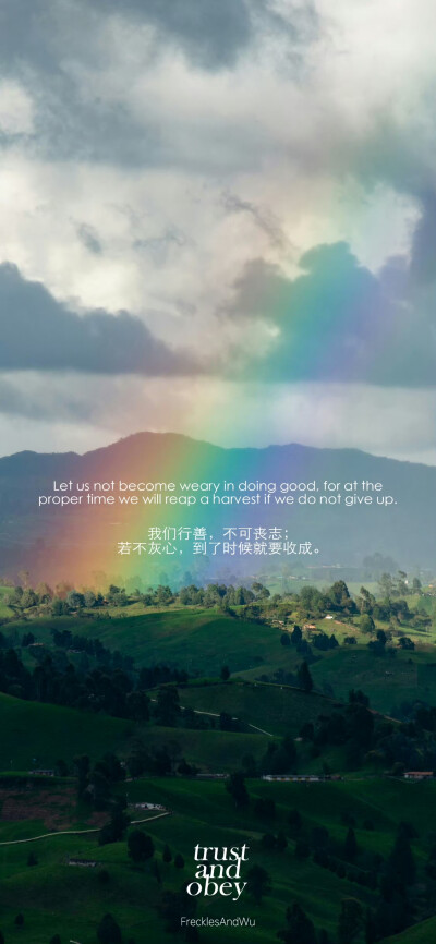 x壁纸