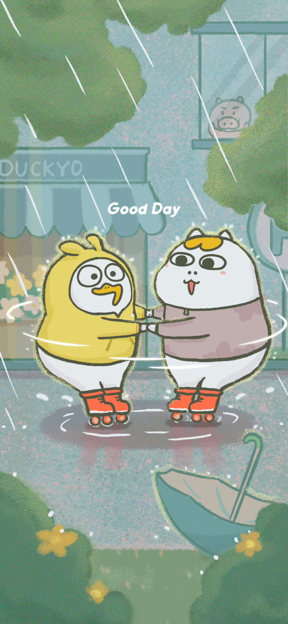 小刘鸭