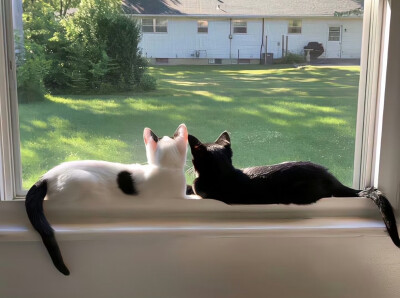 女生头像（侵删）（也可用作朋友圈背景喔）