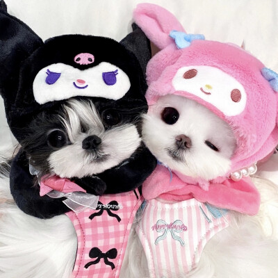 ૮₍ ˃̶ ꇴ ˂̶ ₎ა