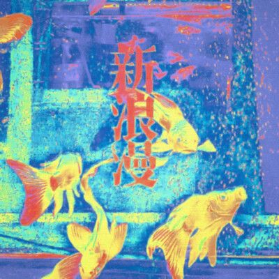 此刻芳心要怎样才不流失在这多彩的舞池