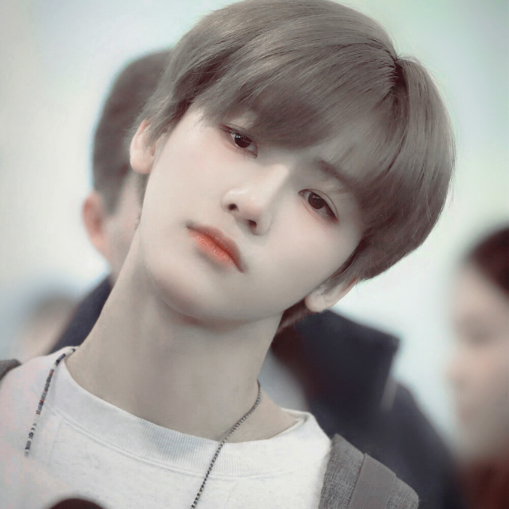 藤树下 你是我的春天