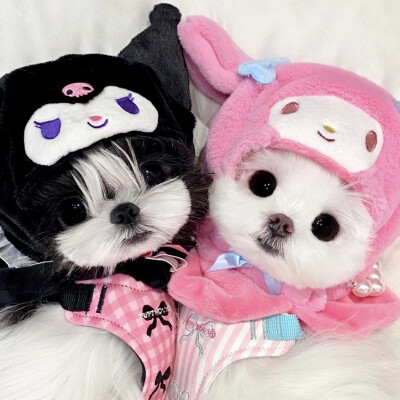 ૮₍ ˃̶ ꇴ ˂̶ ₎ა