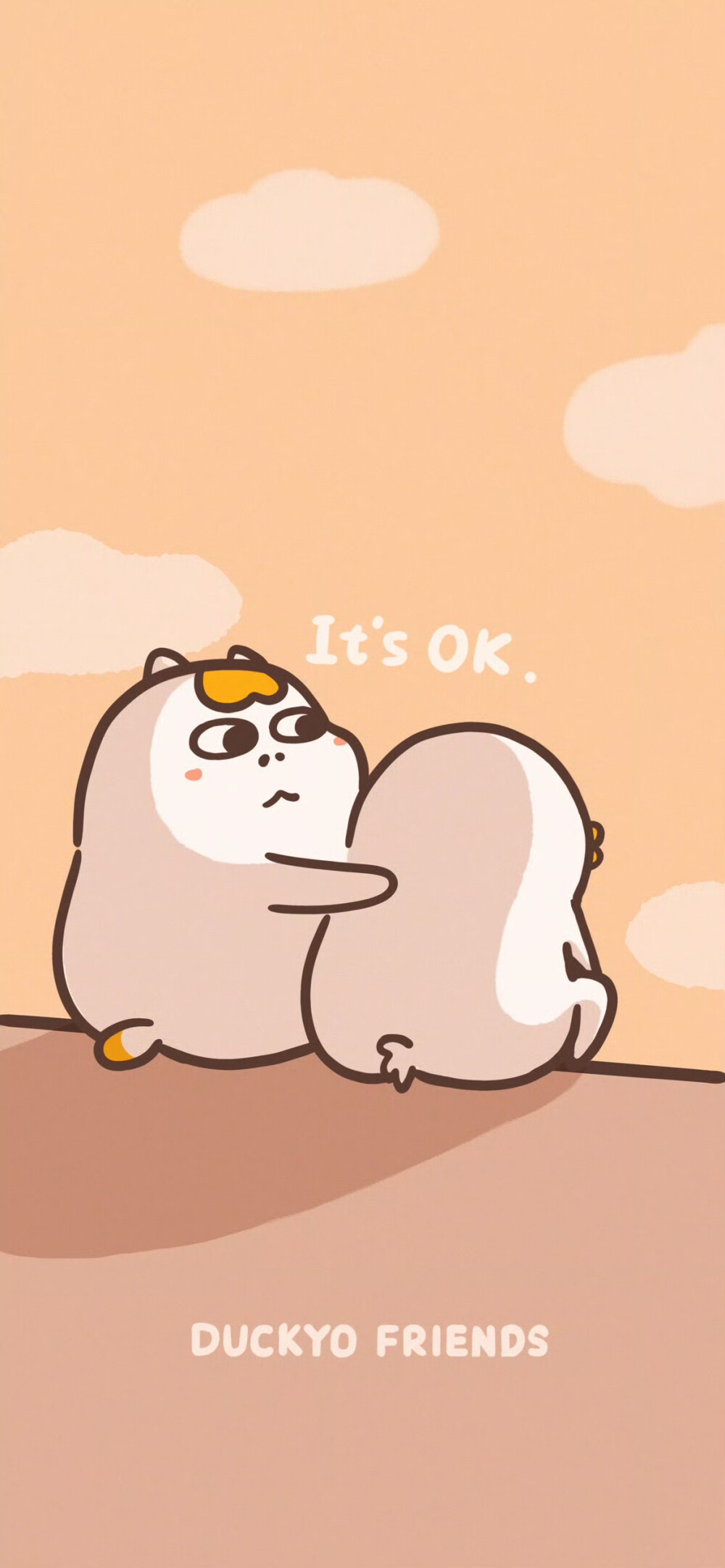 小刘鸭