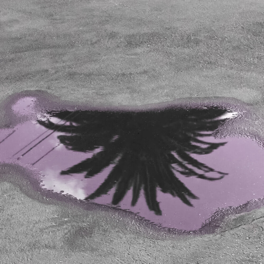 紫色背景图
p1©️颜悸