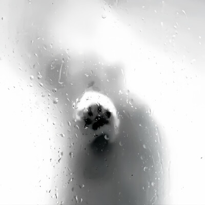 柳智敏
