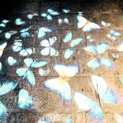 像小饼干一样干干脆脆可盐可甜ꉂ ･ ･☆