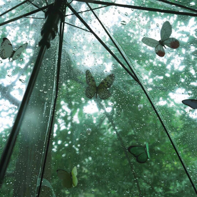 朋友圈背景