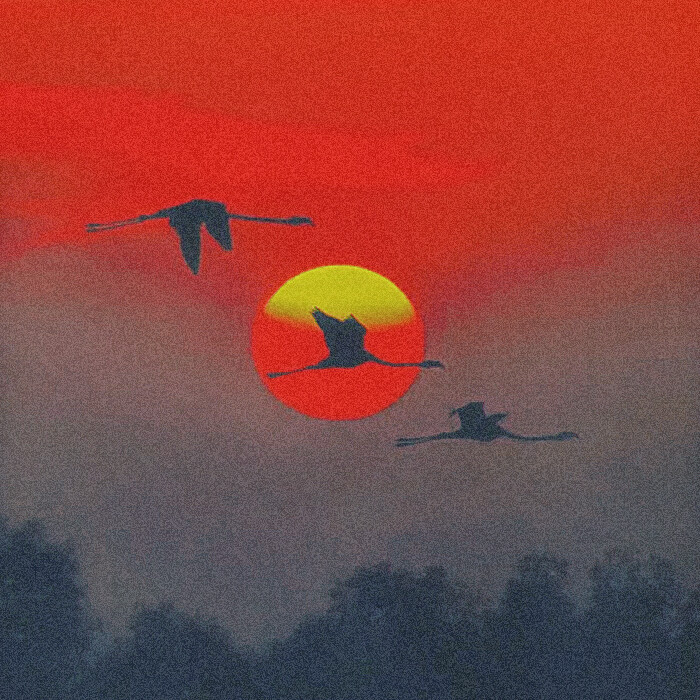 张予曦