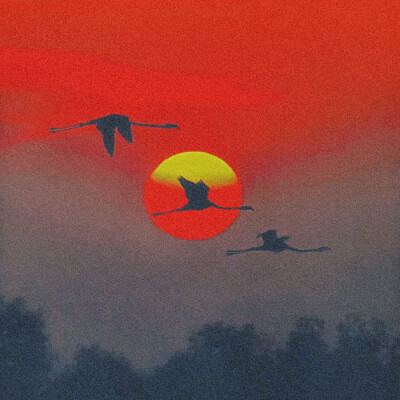 张予曦