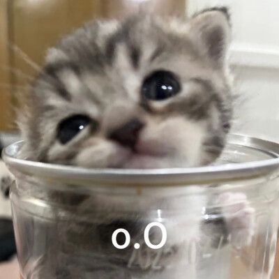. ..