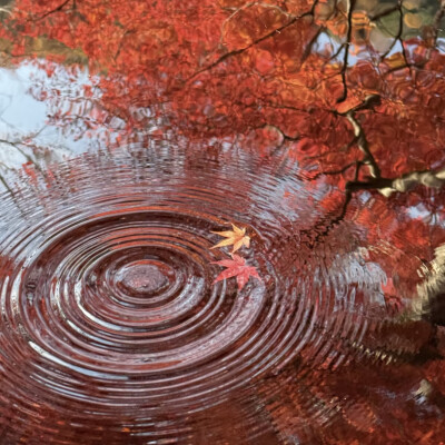漫