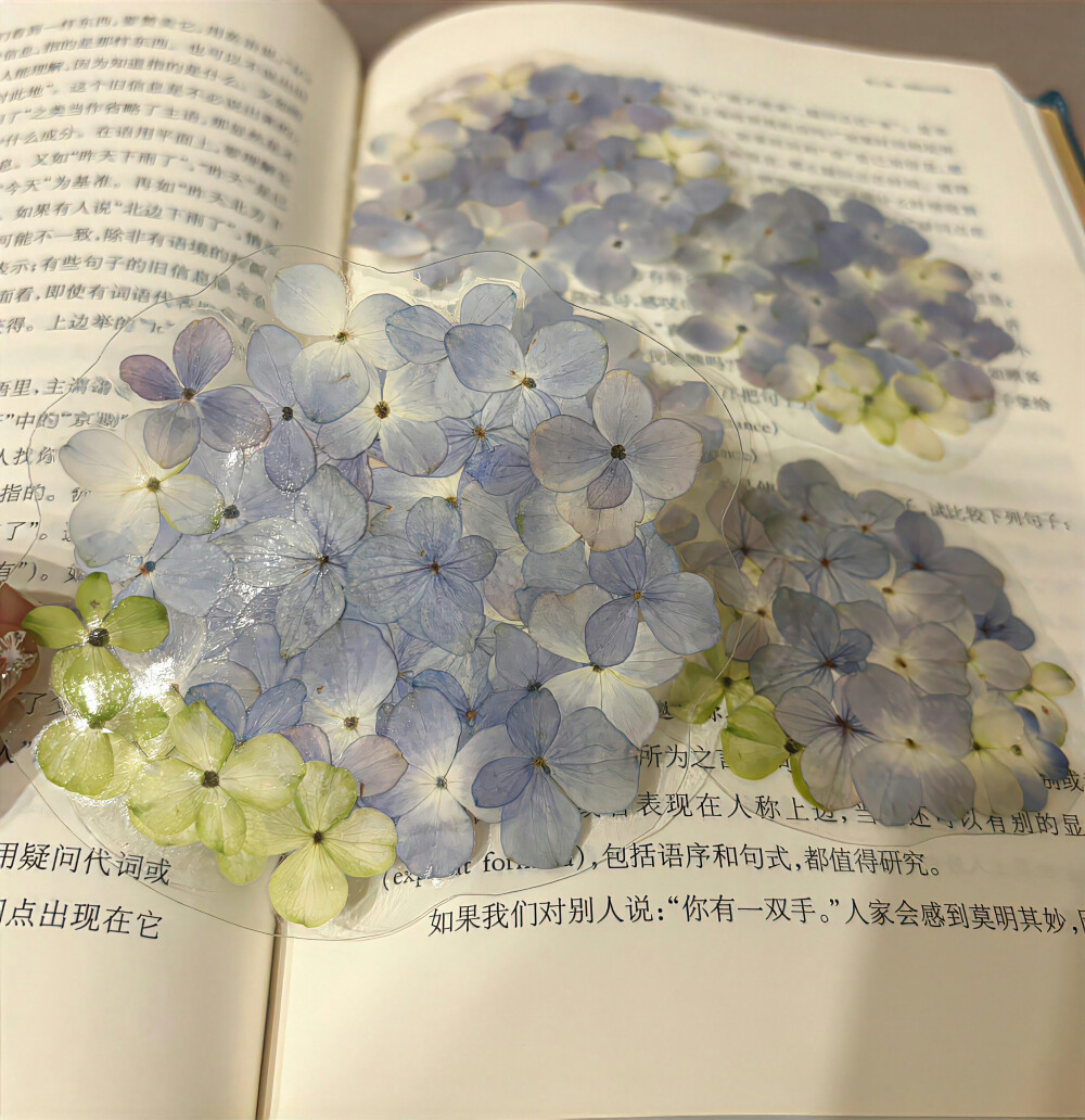 无尽夏背景图 绣球花背景图