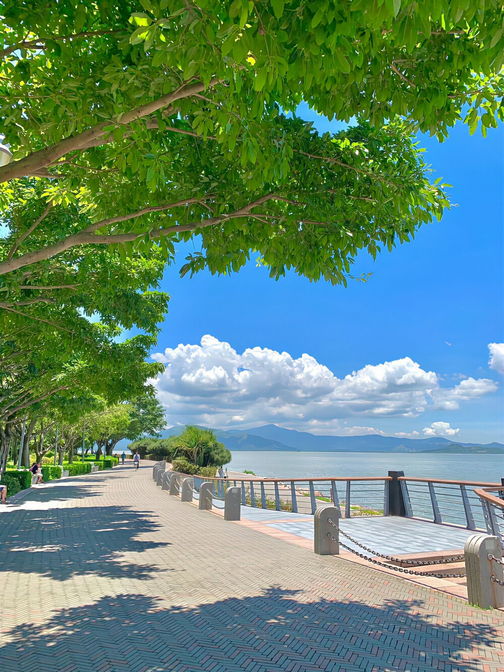 夏日背景图