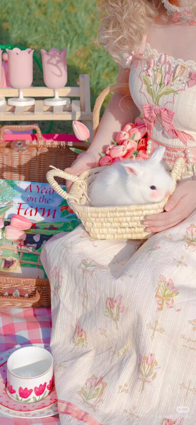 可爱