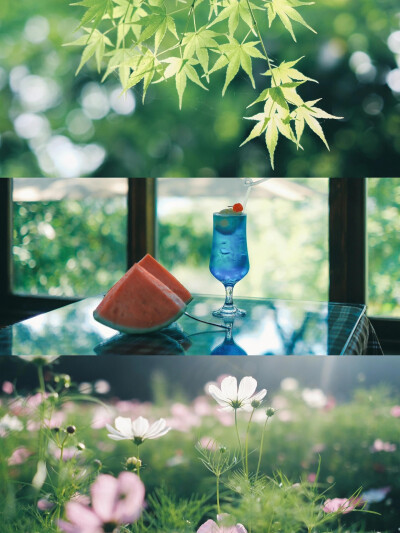 故事的开始，是夏天的蝉鸣