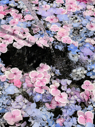 无尽夏背景图 绣球花背景图