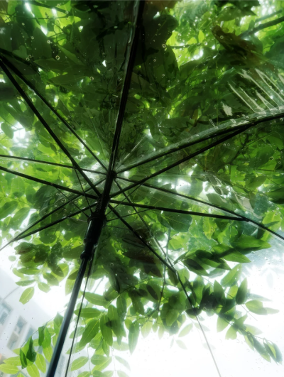 绿色系背景图 雨天背景图
