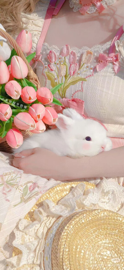 可爱