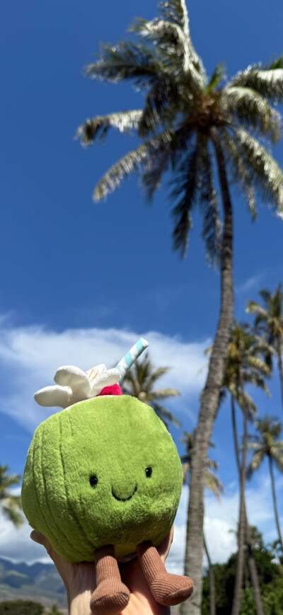 今日份壁纸分享