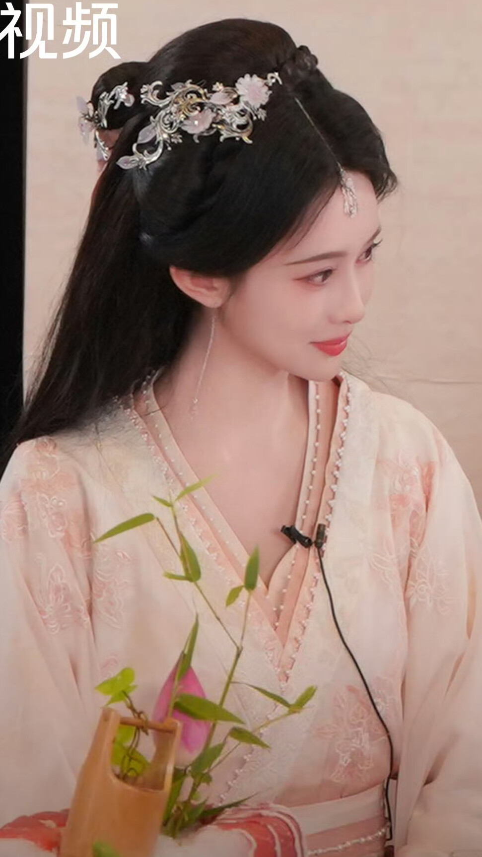 桃花映江山 姜桃花 孟子义