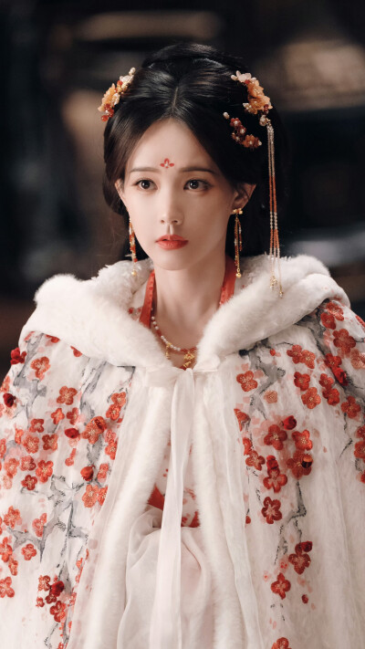 书卷一梦 宋小鱼 宋一梦 李一桐